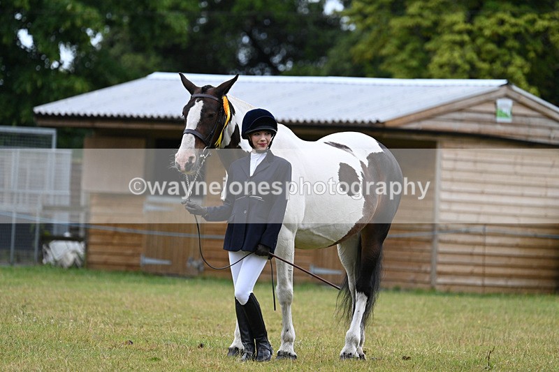 WJ7_6385 - Class 4a Prettiest Mare over 14hh