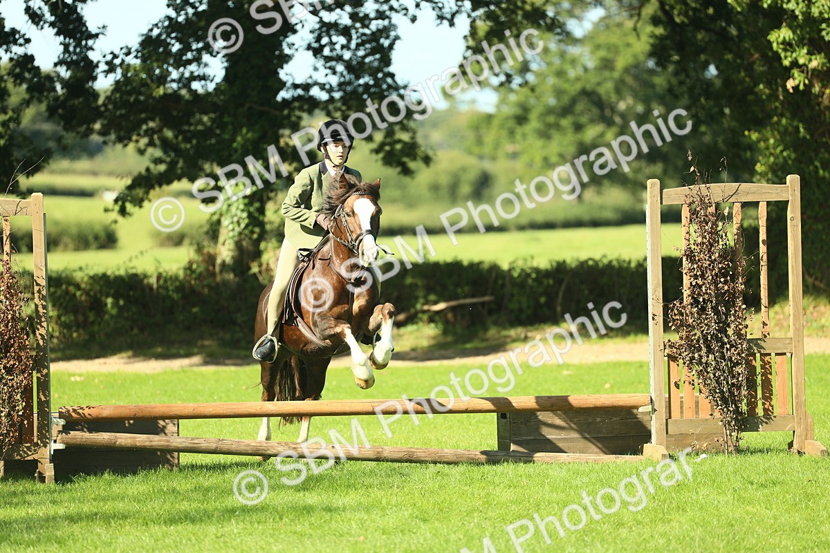 SBM_37460 - S29 - Novice & Newcomers Working Hunter Pony