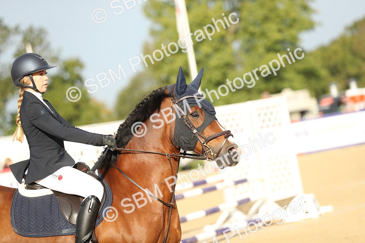 SBM_56047 - J24 - Junior Horse 75cm Championship