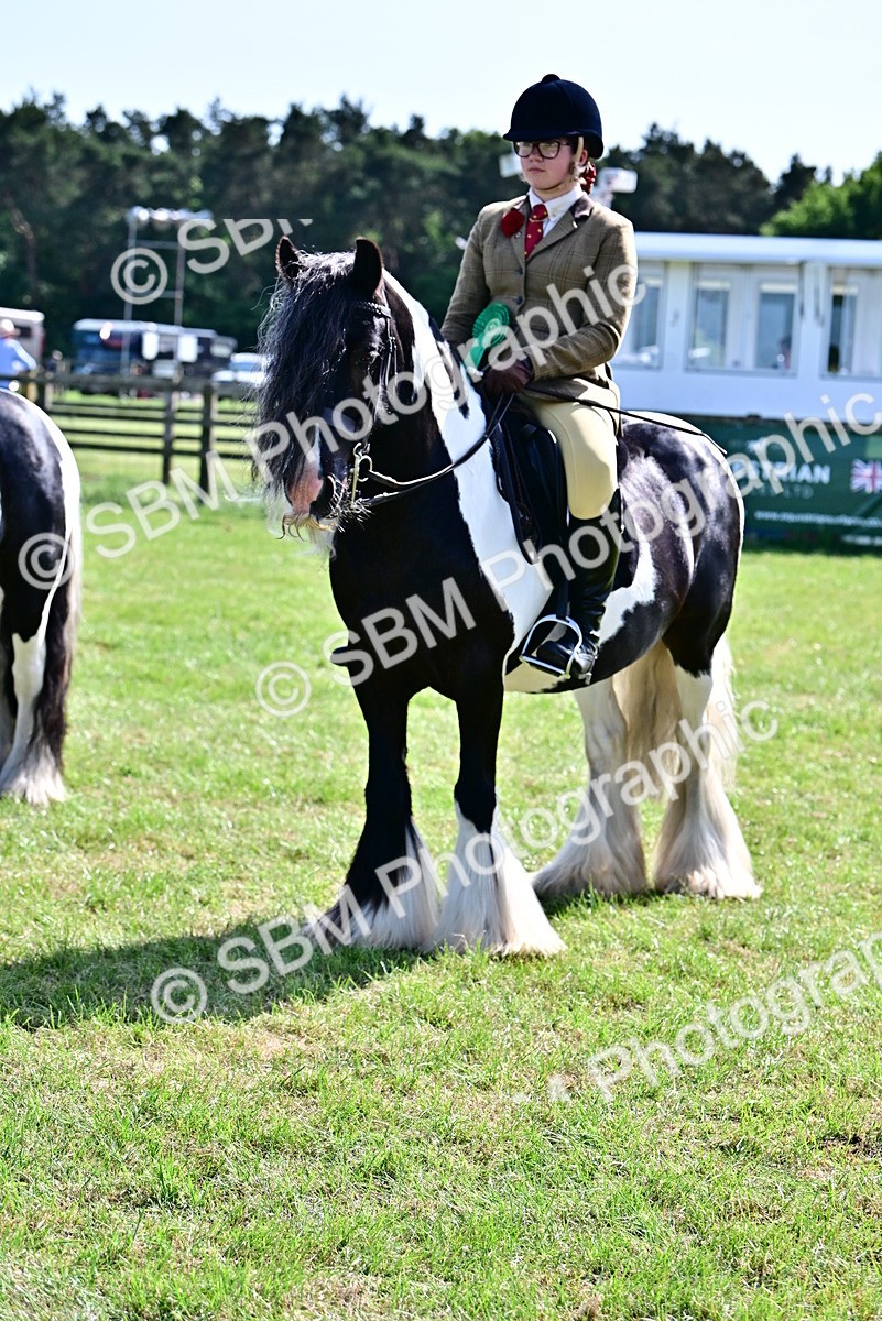 SBM_09436 - Class 63-65 - Traditional Gypsy Cobs In Hand & Ridden