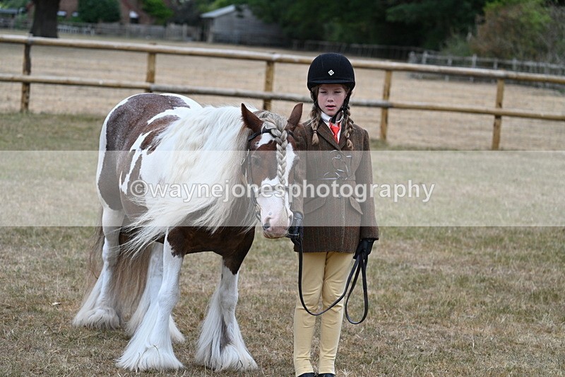 WJ7_8142 - Class 4 Prettiest Mare up to 14.2hh