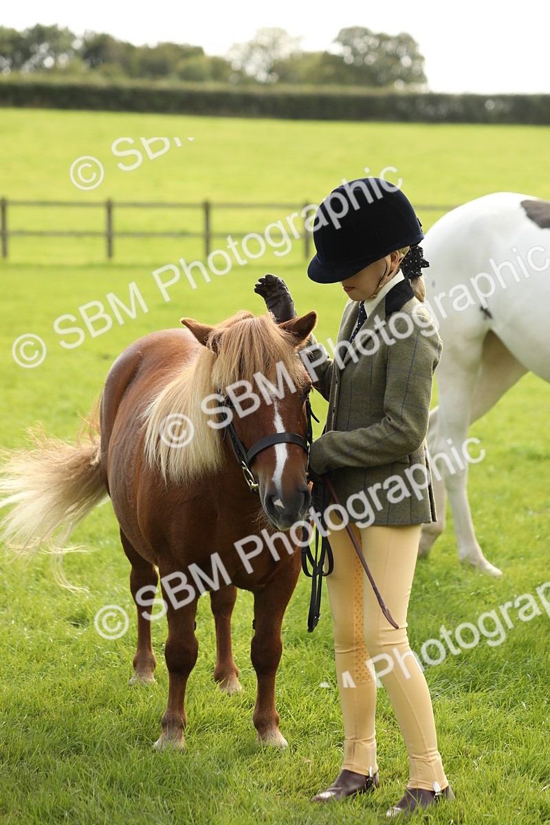 SBM_68717 - S40 - Junior Handler 9-12 Years