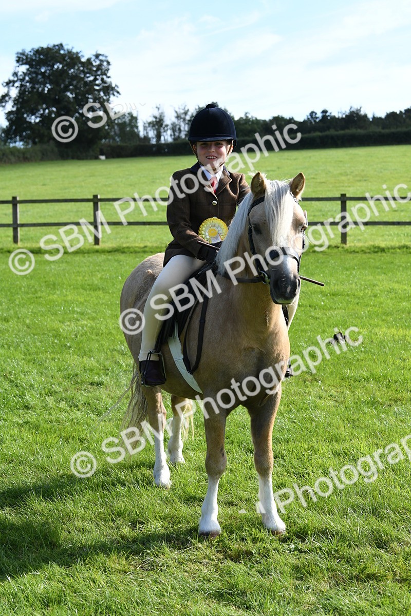 SBM_50501 - S21 - Novice & Newcomers 1st Ridden Pony
