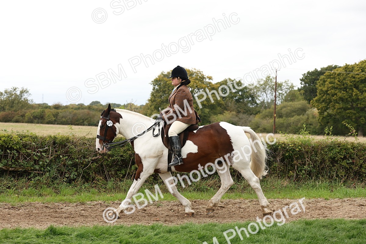 SBM_67270 - S67 - Piebald & Skewbald Horse Ridden