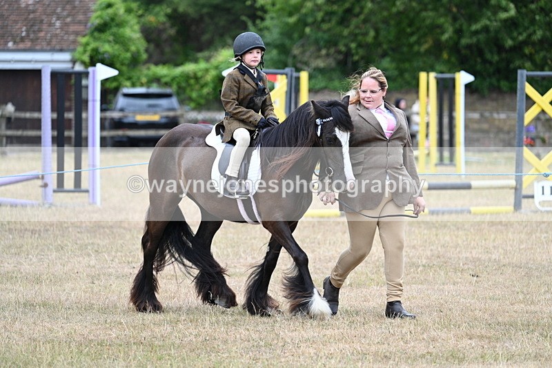 WJ7_8151 - Class 4 Prettiest Mare up to 14.2hh