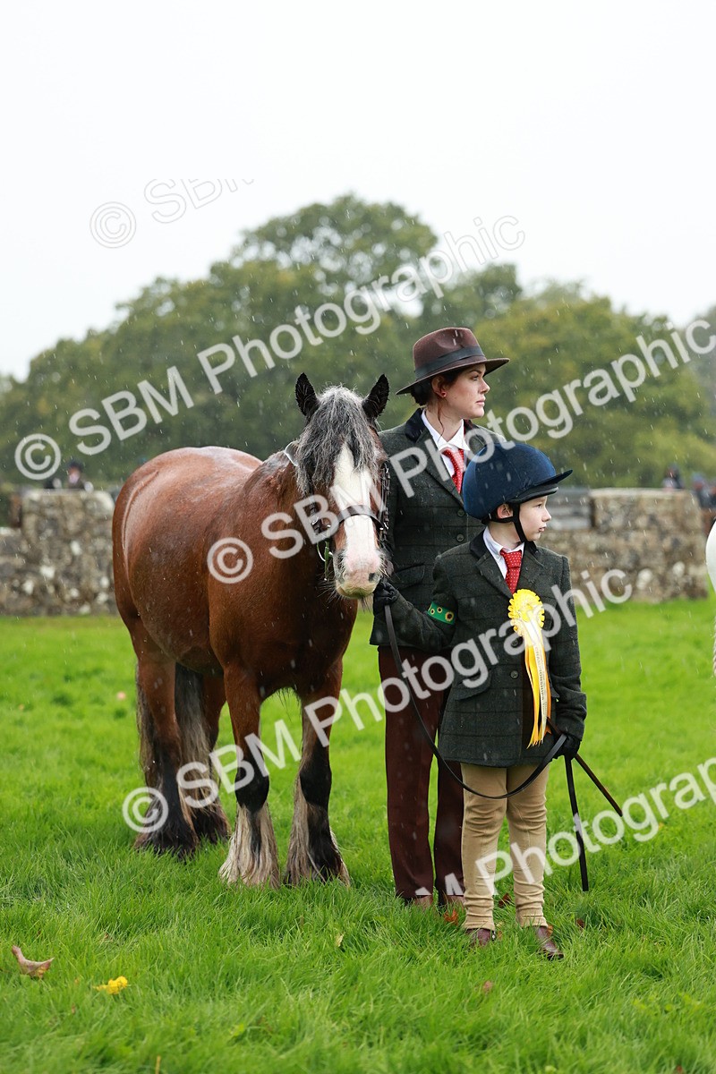 SBM_34963 - S10 - Best In Hand Horse & Pony