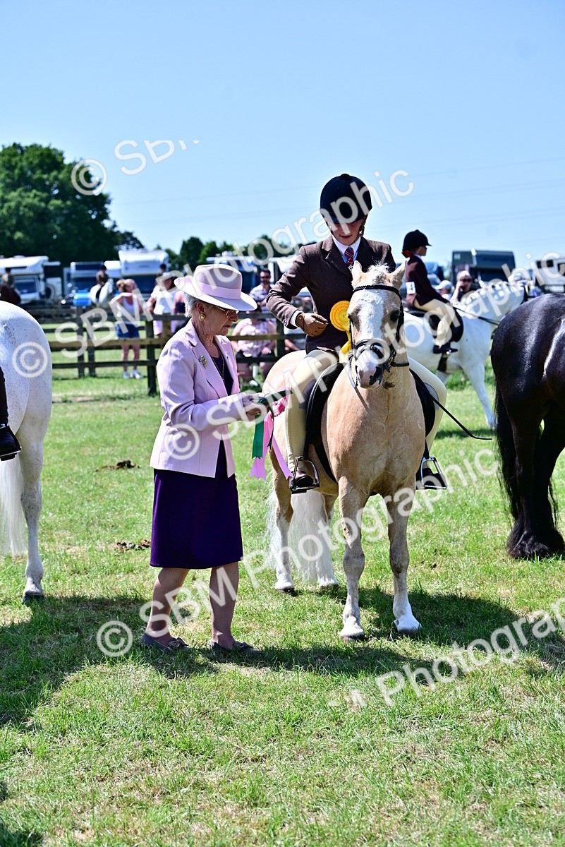 SBM_15437 - Class 95-97 - BSPS LHS Performance Ponies