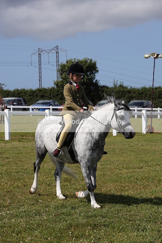 1X9A5379 - Class 37: NPS M&M First Ridden