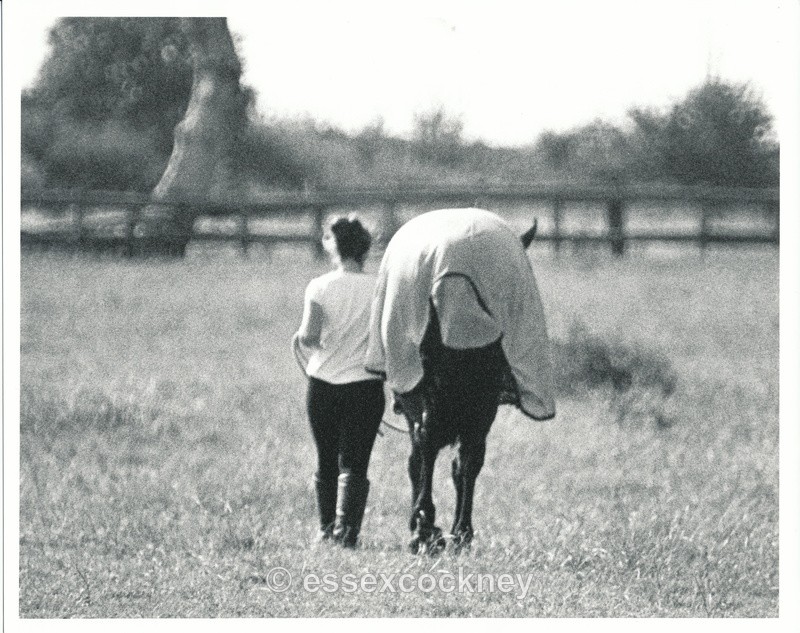  - Odds and Sods(others)