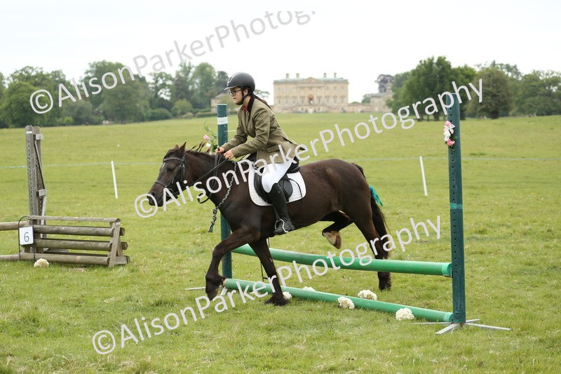 20250517-1015 - Class 21 - Novice Working Hunter