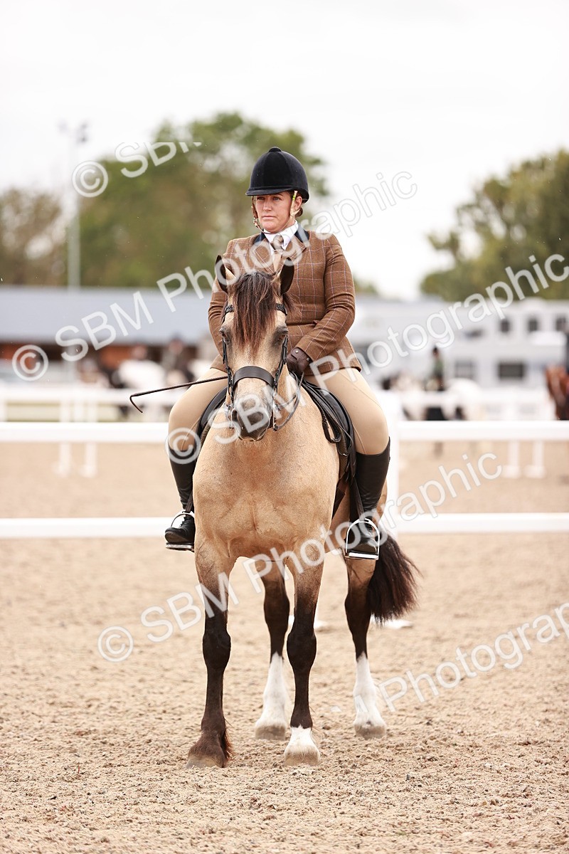 SBM_19017 - Class 422 - Ridden M&M