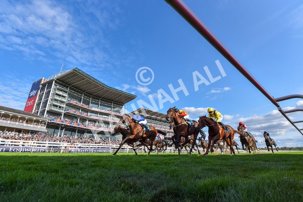 220825-Race 7-Fifth Column-9535 - Race 7 5.20pm Sky Bet Mile Handicap