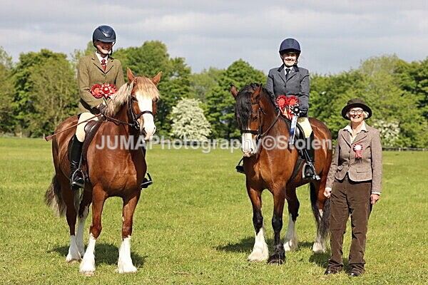 IMG_4930 - Working Hunter