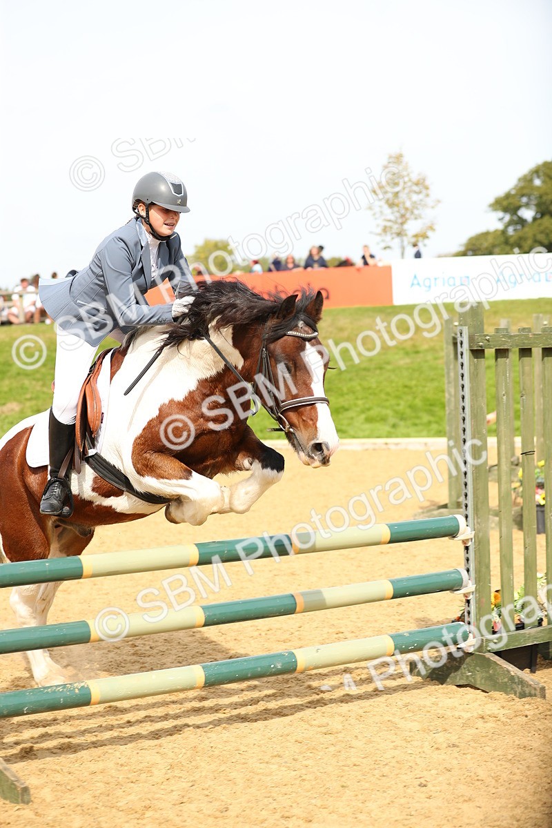 SBM_67140 - J17 - Junior Pony 80cm Championship