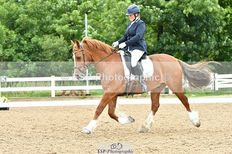 230630A-115107-01706 - Cls 7 Elementary 45