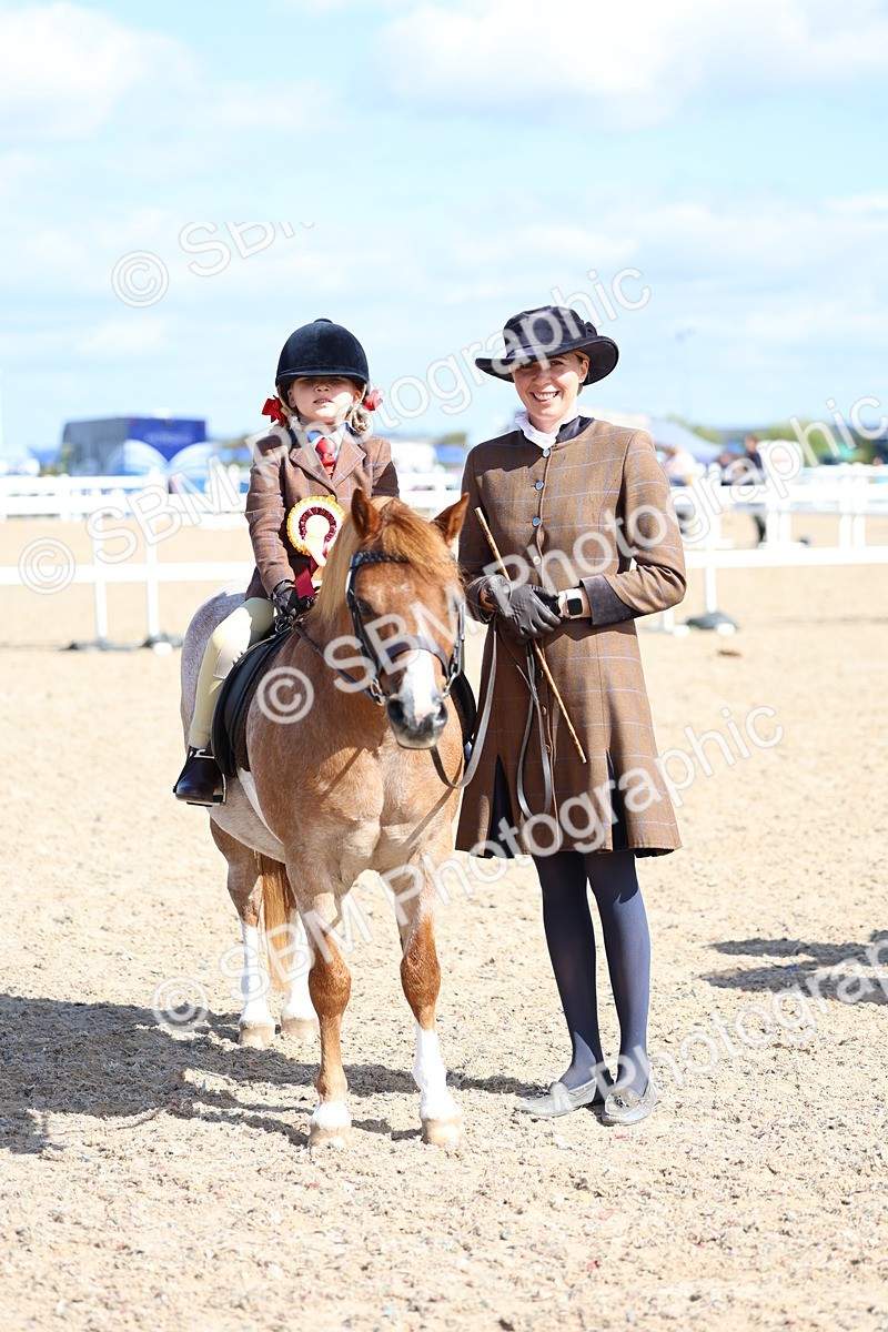 SBM_13117 - Class 309 - Lead Rein Pony