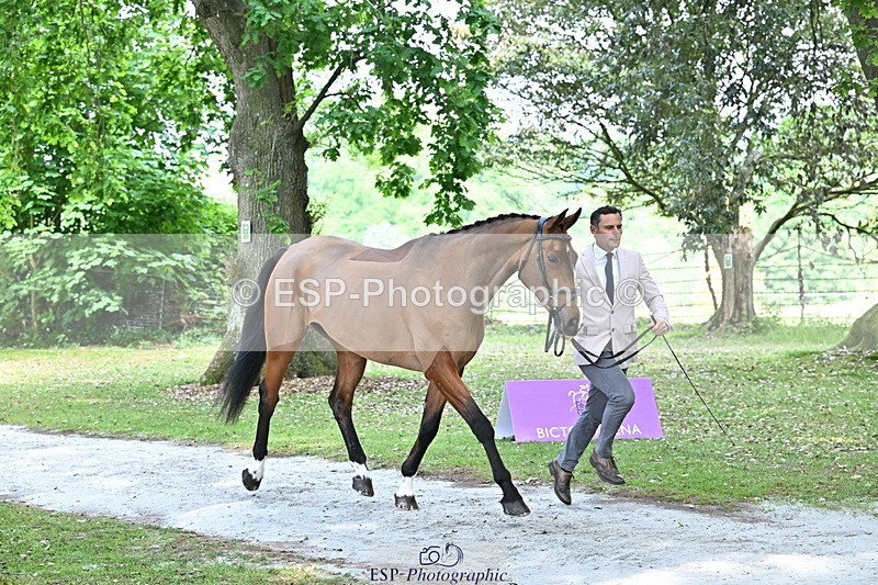 250521A-151329-00347 - B-353-Alexander.Bragg-JAEGER.MASTER