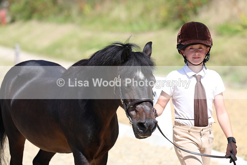 3E7A9379 - Class 29: Veteran In Hand