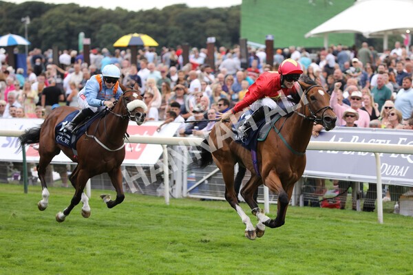 yr19082022r4-70 - Race 4 3.35pm Coolmore Wootton Bassett Nunthorpe Stakes (British Champion Series Race)