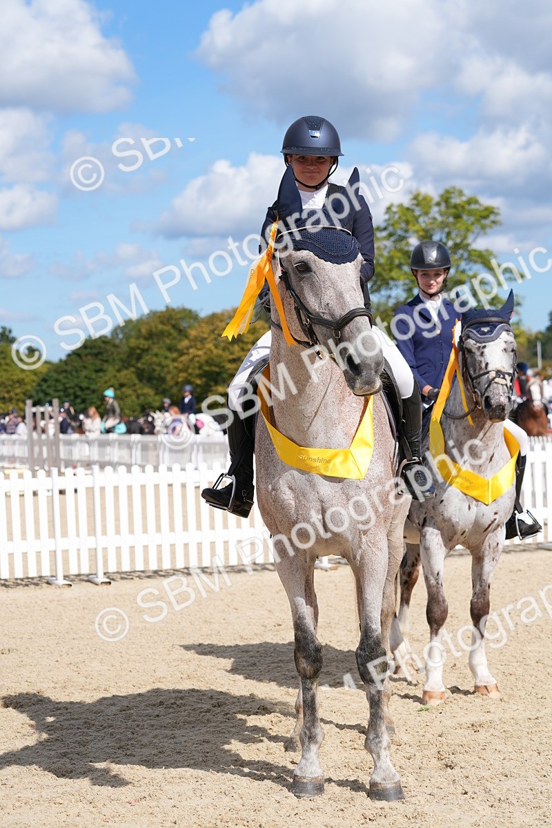 SBM_38907 - J21 - Junior Horse 60cm Championship