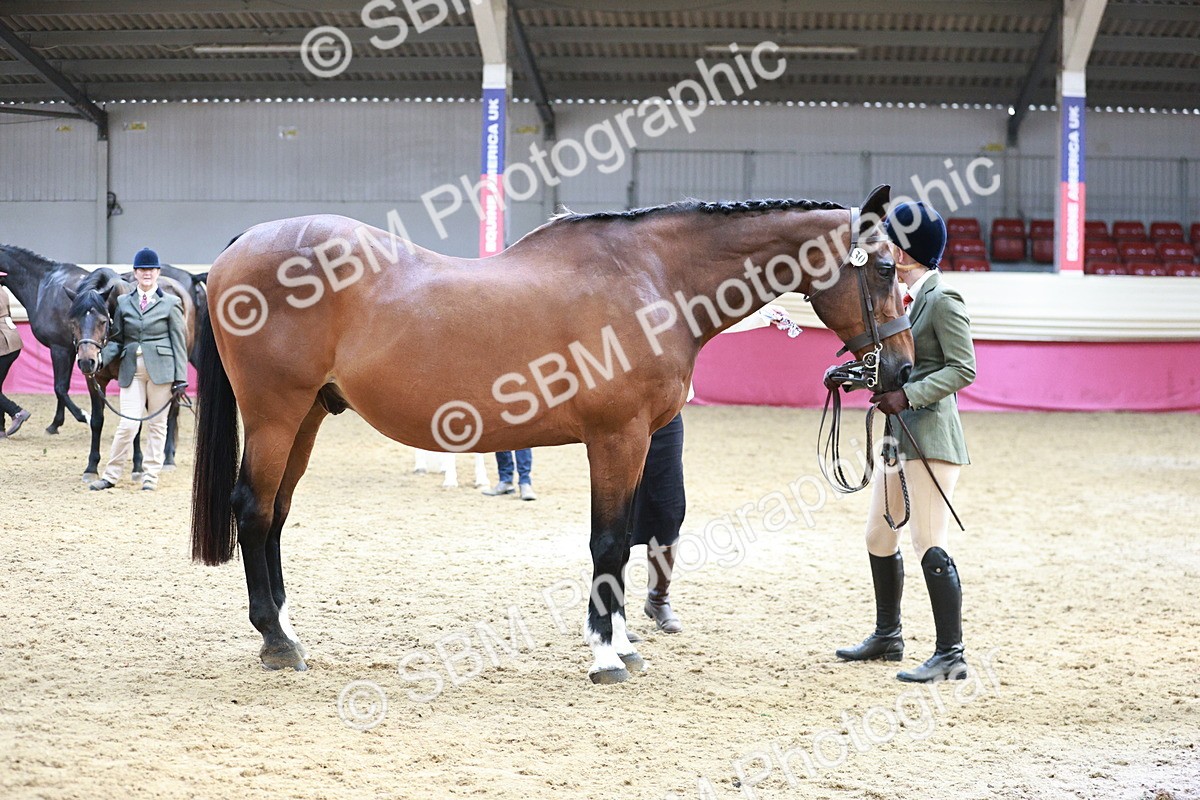 SBM_04826 - Class 7R - Regional IH Diamond