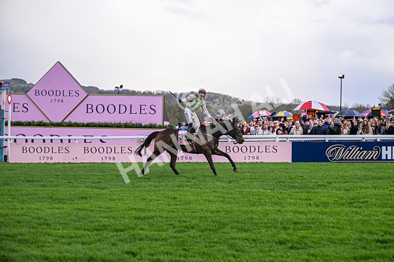 130326-Race 5-Gaelic Warrior-2637 - 13th March