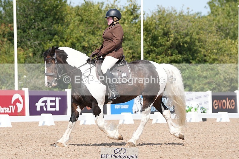 250817-122000-09290 - 185-Hermione.PerryNewoak.Roc.Bay