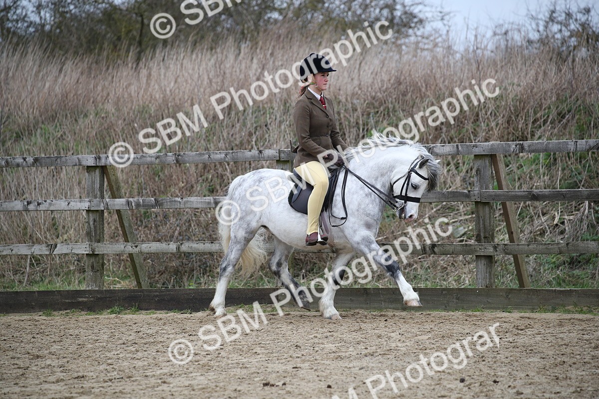 SBM_006312 - Class 10-13 - RIHS Small Large Breeds