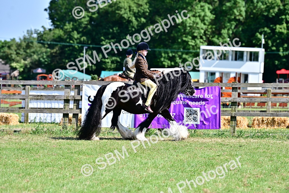 SBM_19414 - Class 101-102 - BSPS LIHS Performance Coloured Horse/Pony