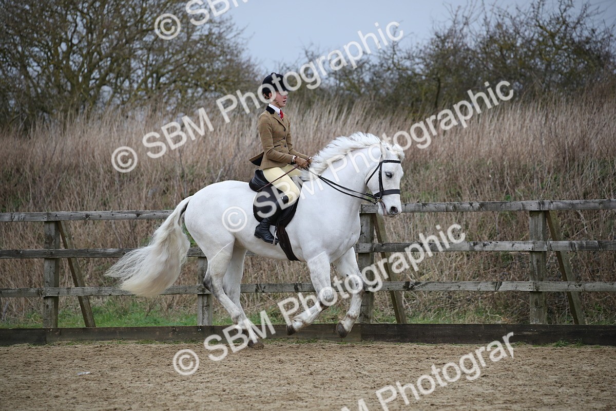 SBM_006109 - Class 10-13 - RIHS Small Large Breeds