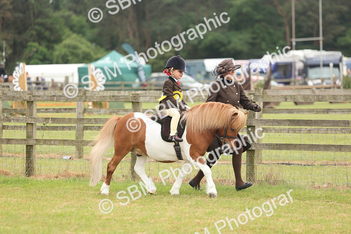 SBM_06844 - Class 74-75 - M&M Lead Rein and First Ridden Pony