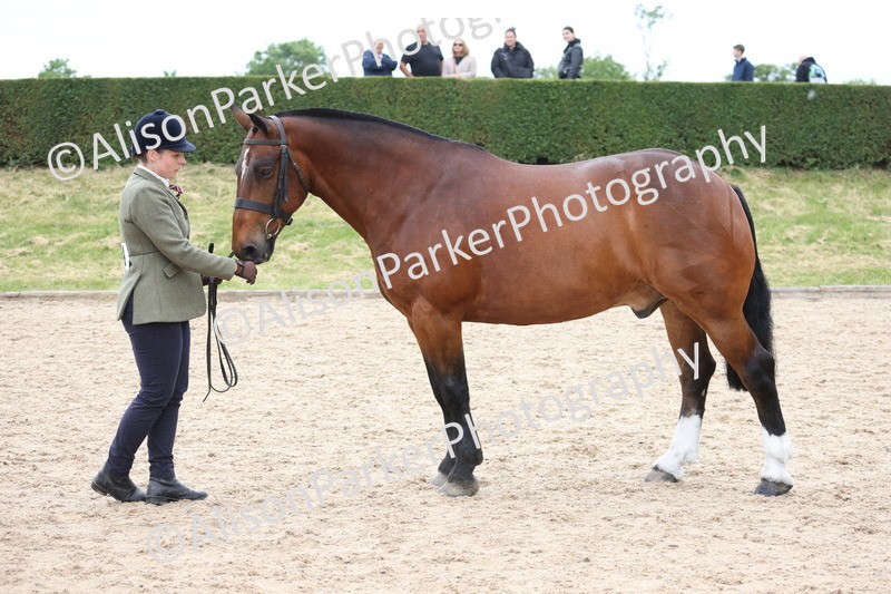 20250524-1016 - Class 9 - Cob and Hunter
