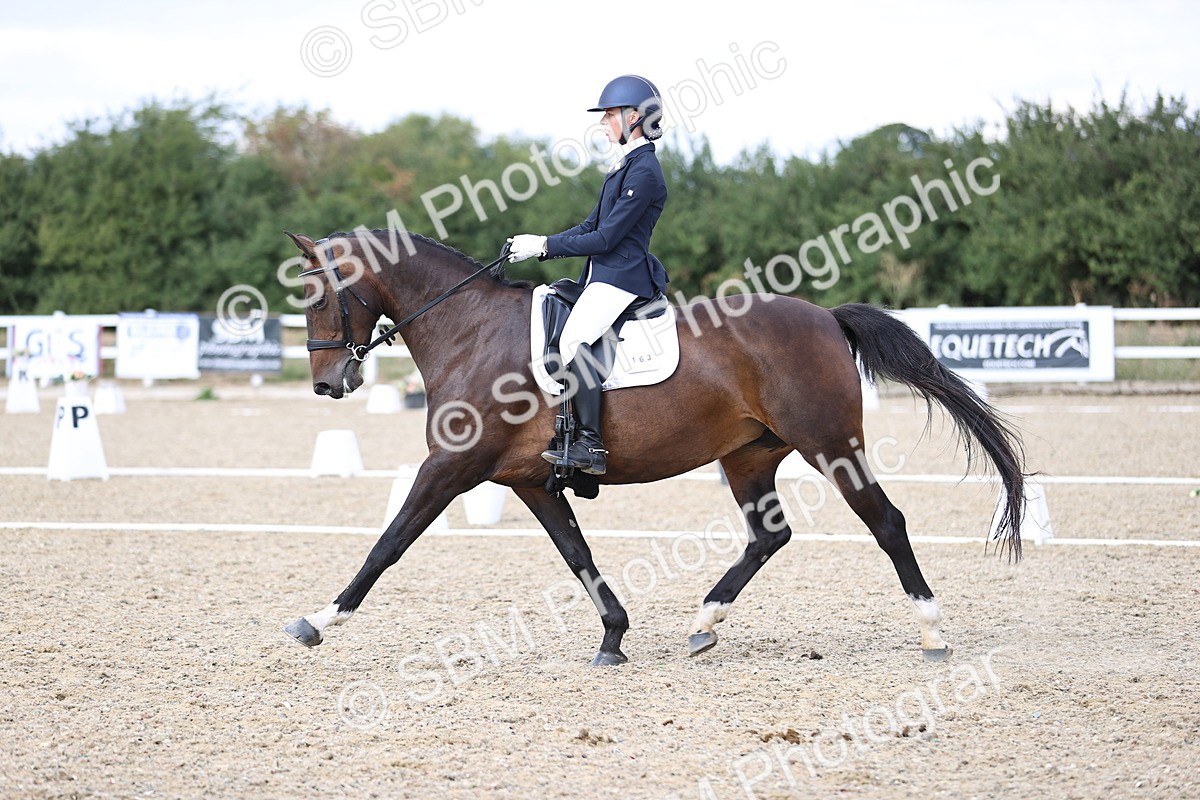SBM_015278 - Class 5 - E5 Bronze 14.42.15.54