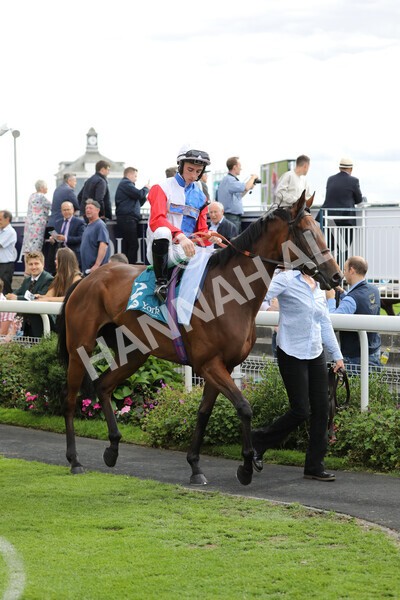 yr19082022r5-2 - Race 5 4.10pm Assured Data Protection EBF Fillies' Stakes