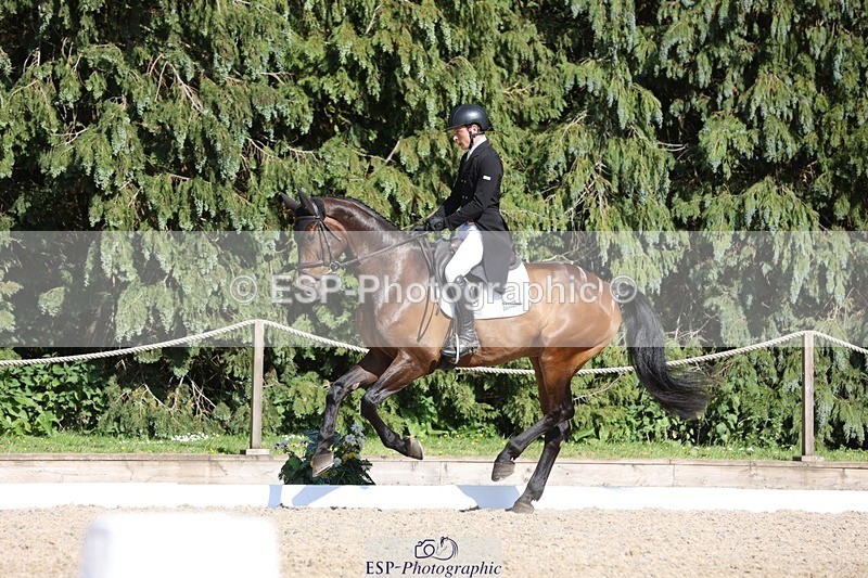 230526-170108-07888 - 174-LANCELOT_BMG-Alfie_Marshall-WEDTrotUp+DR