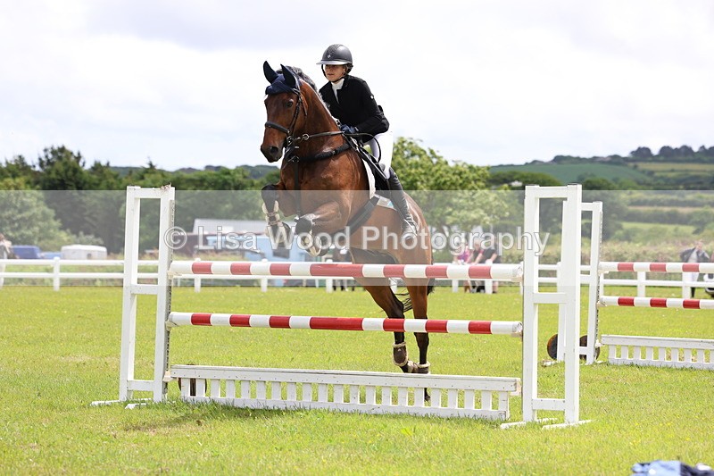 3E7A7105 - Class 12: Senior Foxhunter/1.20 open