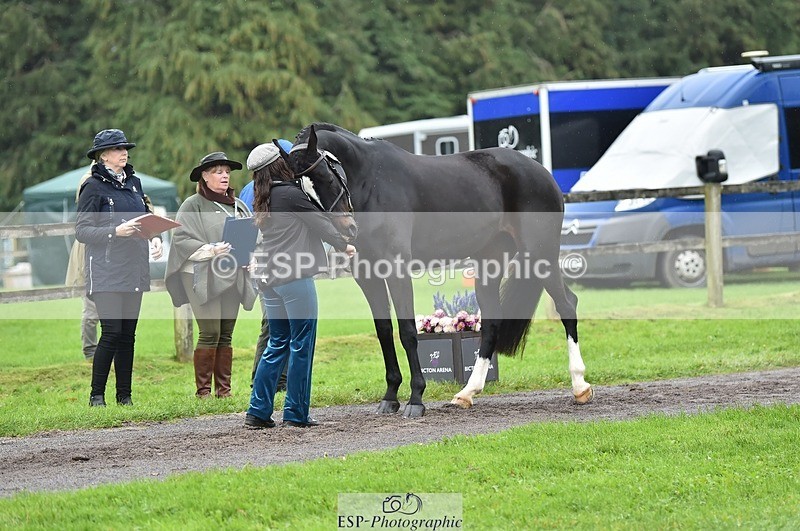 231018-124126-00452 - 054-PORSCHE-Coco.Lanni-TrotUp