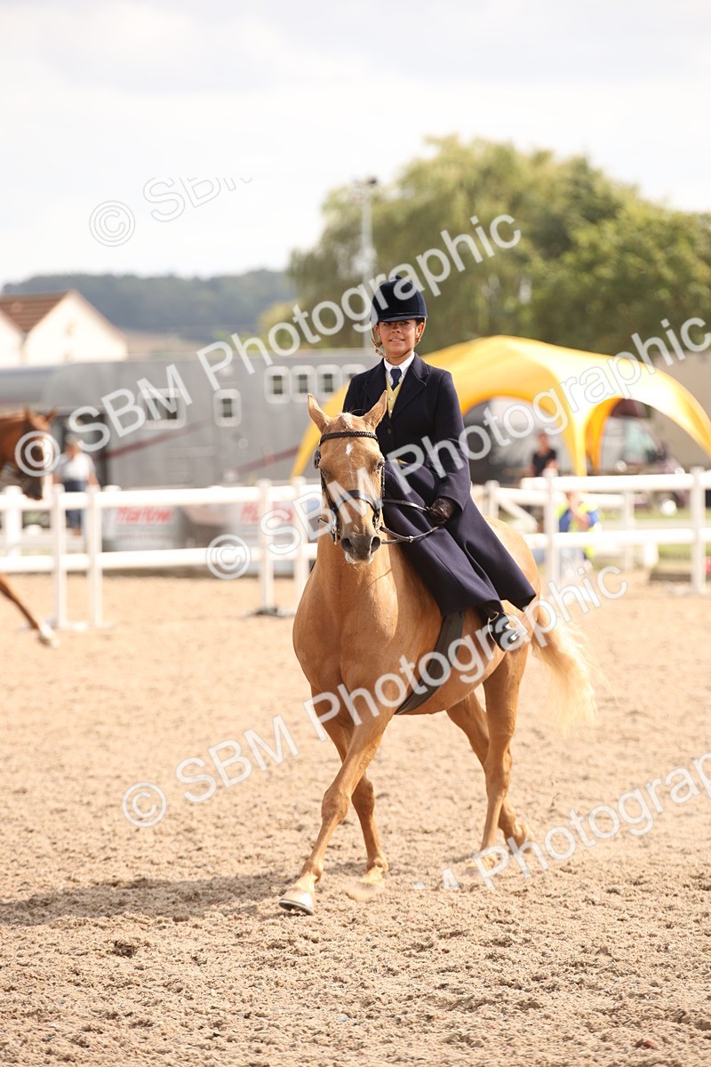 SBM_06723 - Class 24 Concours d'elegance