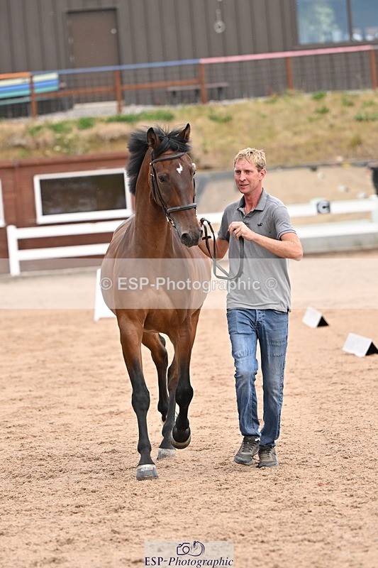 250716-151418-01809 - Trot Up 2.30 to 3.30