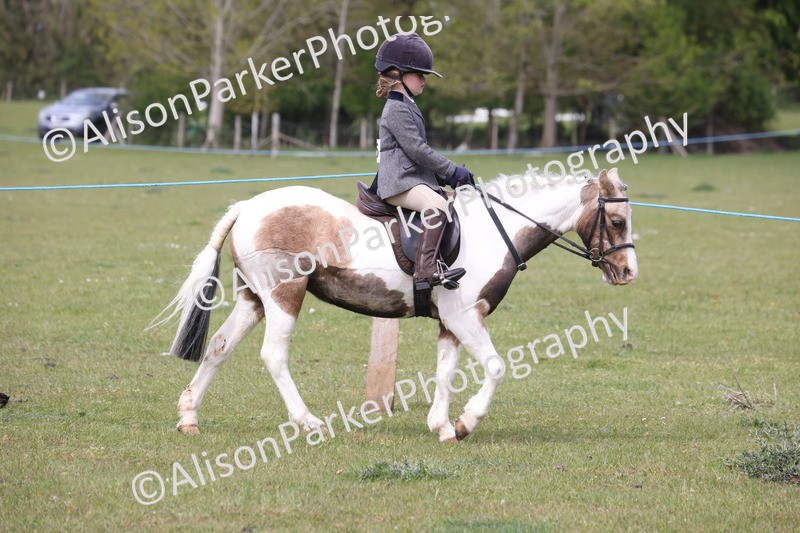 20260426-2883 - Class 33 - Best Pony 14.2hh and Under