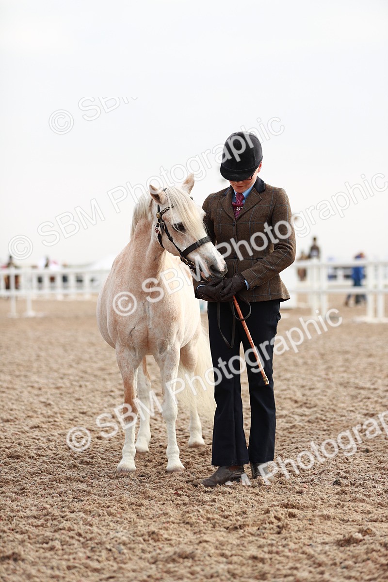 SBM_09531 - Class 201 Best Turned Out IH