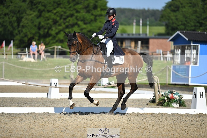 230525-092741-01602 - 305-BARRINGTON_57-Izzy_Taylor-WEDTrotUp+DR