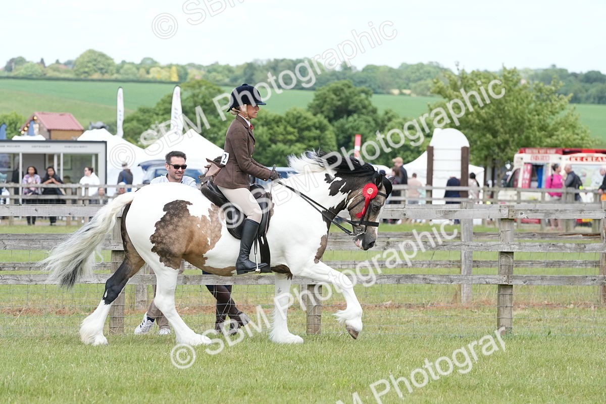 SBM_17656 - Class 107-108 - LIHS BSPS Performance Coloured Horse Pony