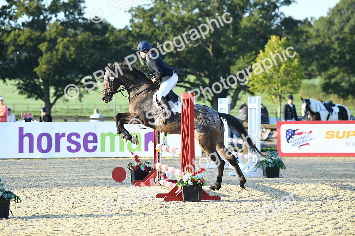 SBM_58031 - J24 - Junior Horse 75cm Championship
