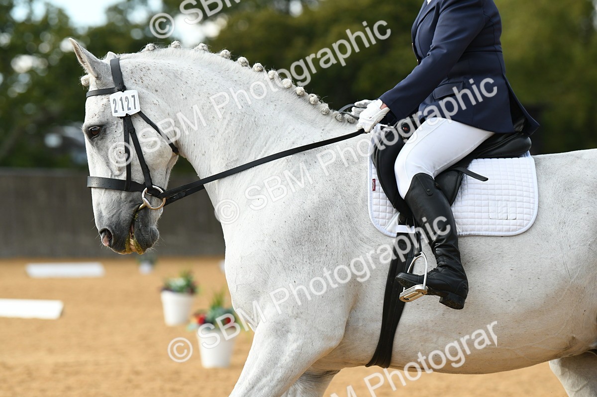 SBM_12477 - D19 Small Tour Championship Elementary 42
