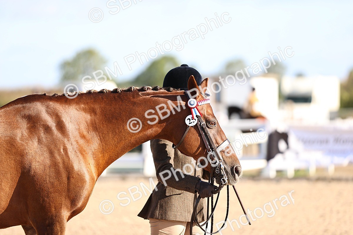 SBM_08507 - Class 402 - IH Veteran Pony