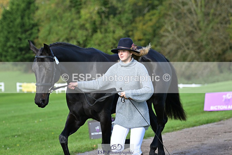 241023-130218-00037 - 002-Ellie.Fredericks-BRITANNIA'S.OLIVE