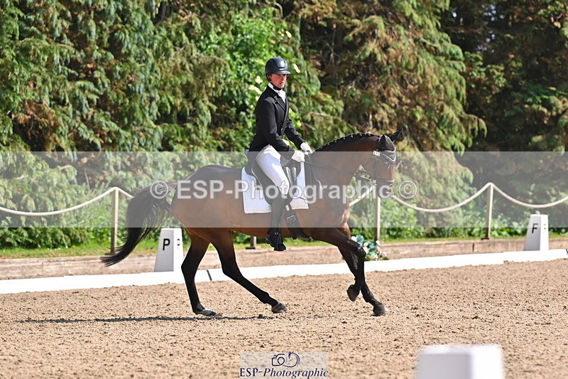 250523A-160017-07940 - B-373-Ben.Lee.Liles-FINCH.FANCY