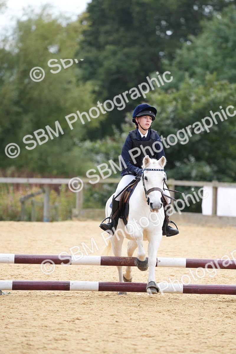 SBM_74841 - J4 - Mini Tour Junior Pony 45cm Championship