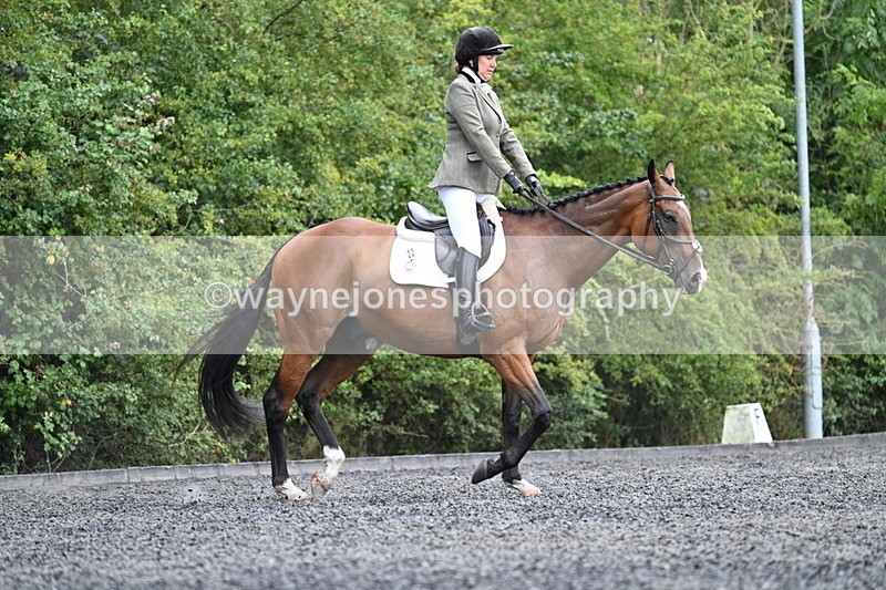 WJ7_6447 - Time 11:38 to 12:03